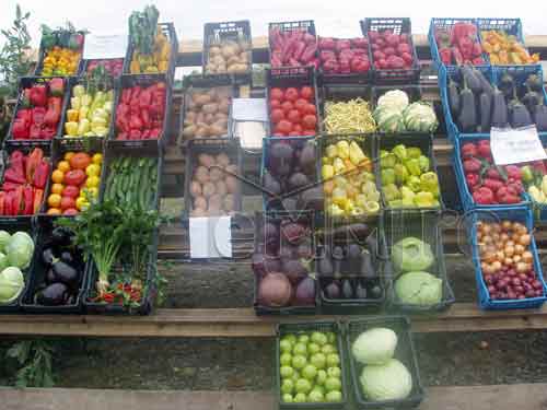 Foto: produse eco - legume si fructe Remetea Chioarului (c) eMaramures.ro